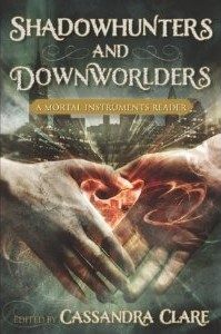 Shadowhunter and Downworlders